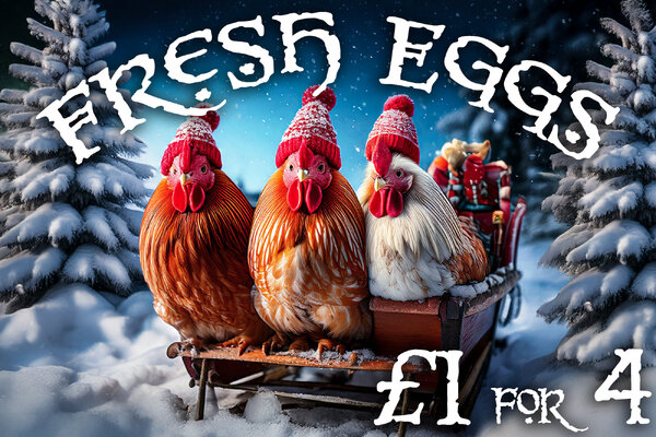 eggsignXMAS.jpg
