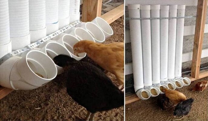 ChickenFeederOBN.jpg