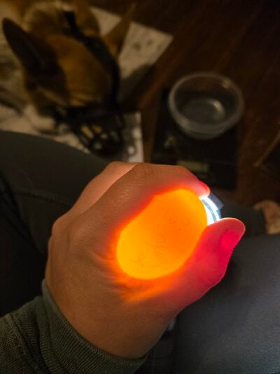20250416_211059.jpg