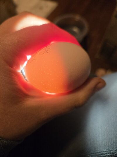 20250416_212133.jpg