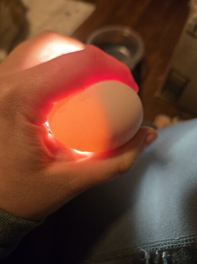 20250416_212136.jpg