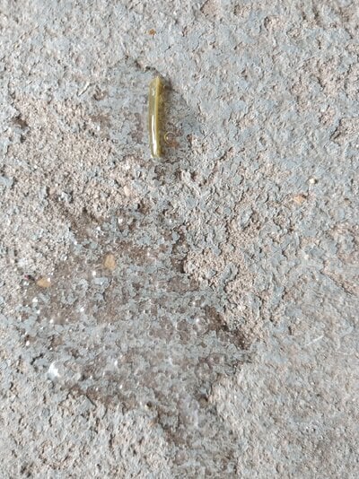 20250419_103912.jpg