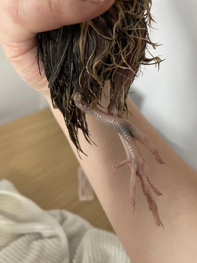 IMG_0609.jpeg
