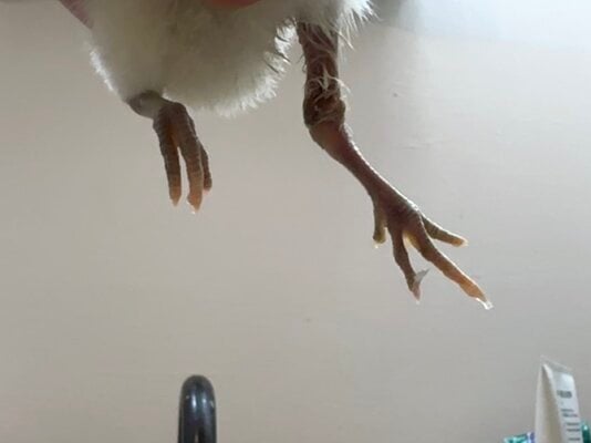 IMG_6511.jpeg