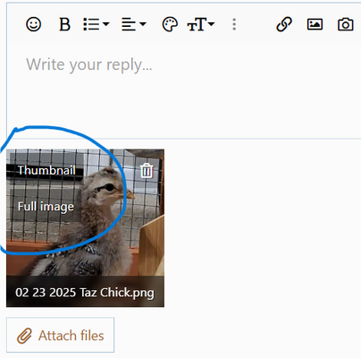 chrome_CymWWT43UP.png