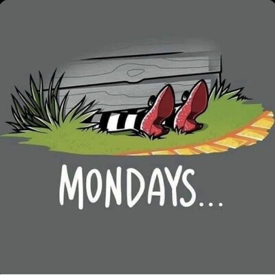 IMG_2138.jpeg