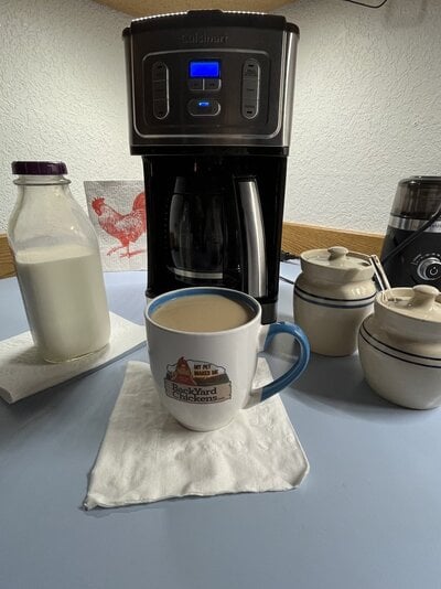 IMG_6662.jpeg IMG_6662.jpeg