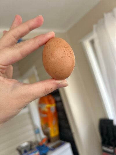 IMG_0447.jpeg