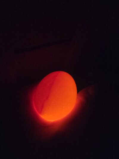 20250430_180822.jpg