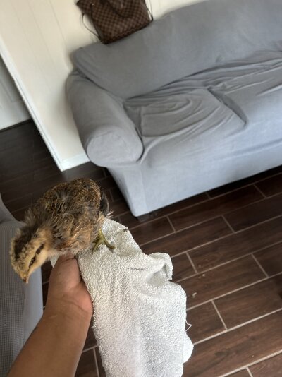 IMG_3324.jpeg