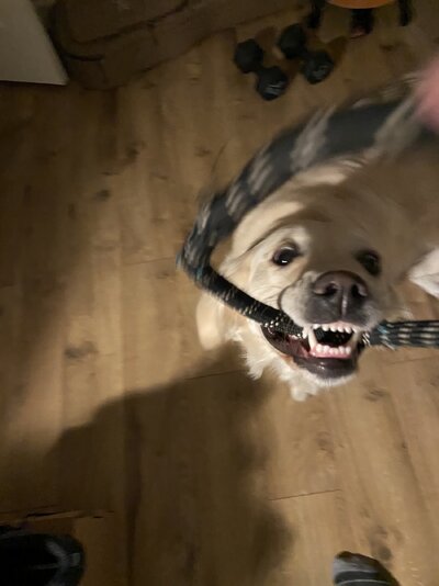IMG_5703.jpeg