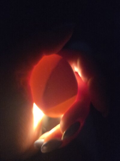 20250503_175828.jpg
