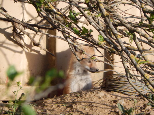 DSCN1166.JPG