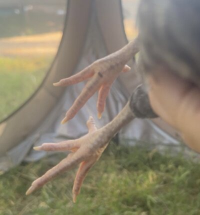 IMG_8408.jpeg