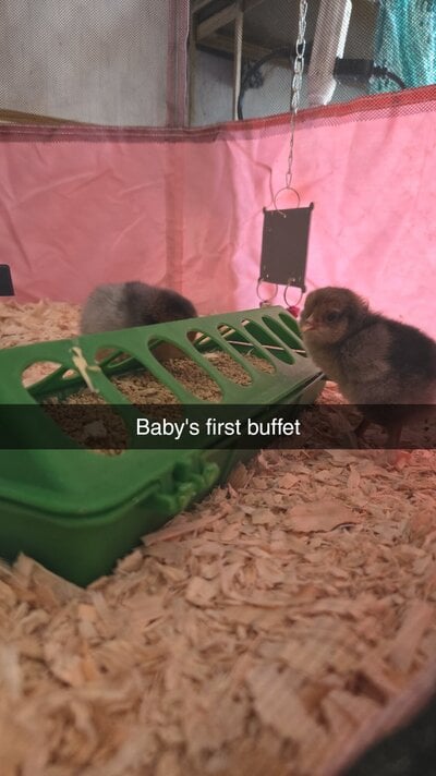 Snapchat-534653131.jpg