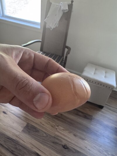 IMG_3807.jpeg