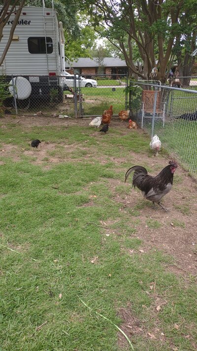IMG_20250510_153307130_MP.jpg
