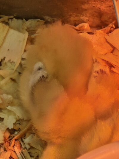 20250429_160600.jpg
