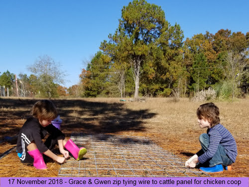 18nov17_131054.jpg 18nov17_131054.jpg