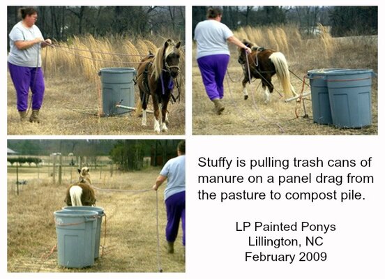 StuffyPull.jpg