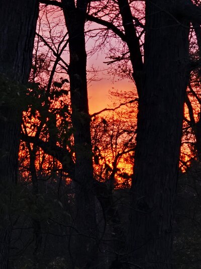 20250512_211040.jpg