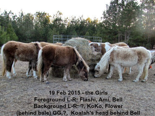 15feb19mix092.jpg