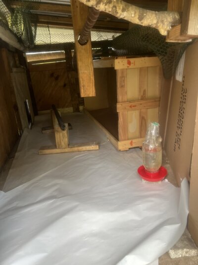Enlarged coop area by moving broody box.jpg
