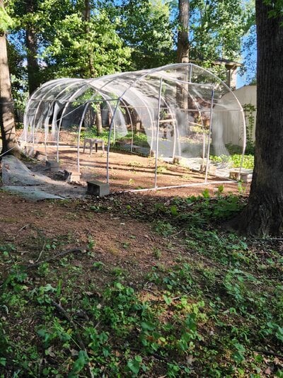 20250522_184412.jpg