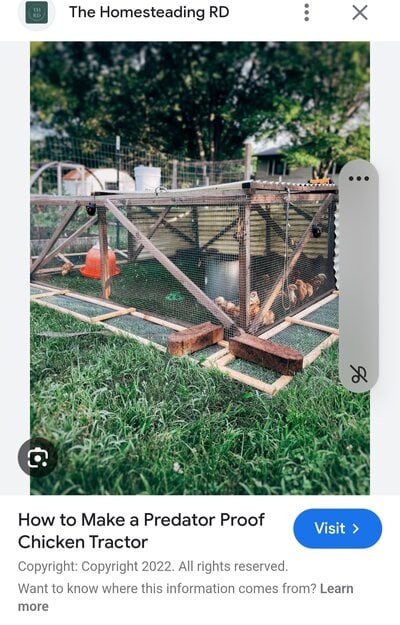 Screenshot_20250117_031308_Google.jpg