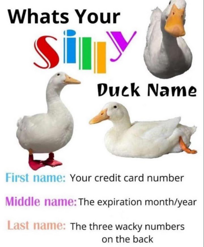 1748586709545.png