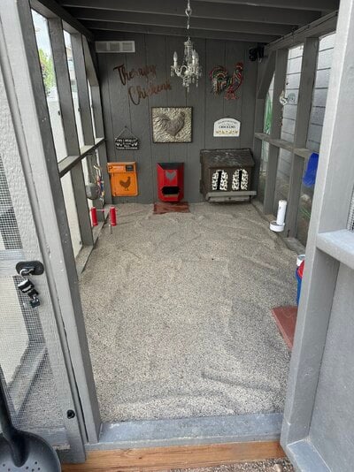 Premium Chicken Sand - The Perfect Sand for Your Chickens?