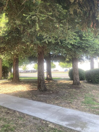 IMG_5364.jpeg