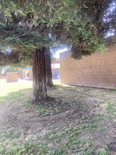 IMG_5366.jpeg