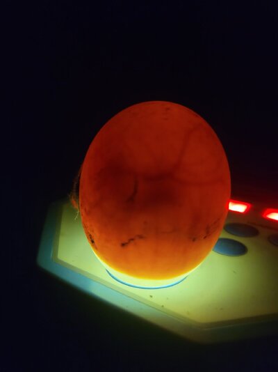 20250530_215523.jpg