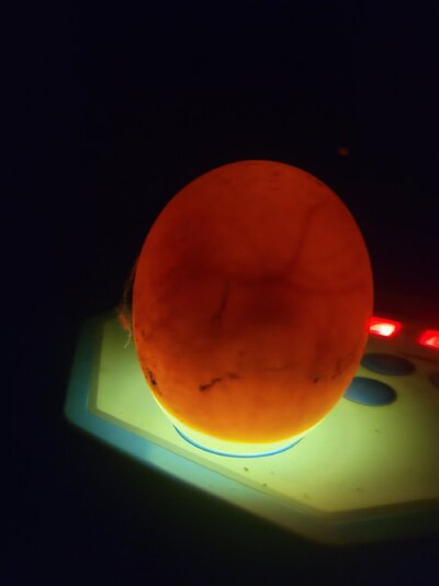 20250530_215521.jpg