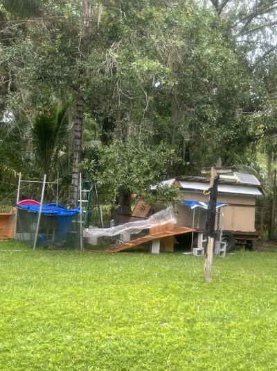 covered area with ramp to coop.jpg