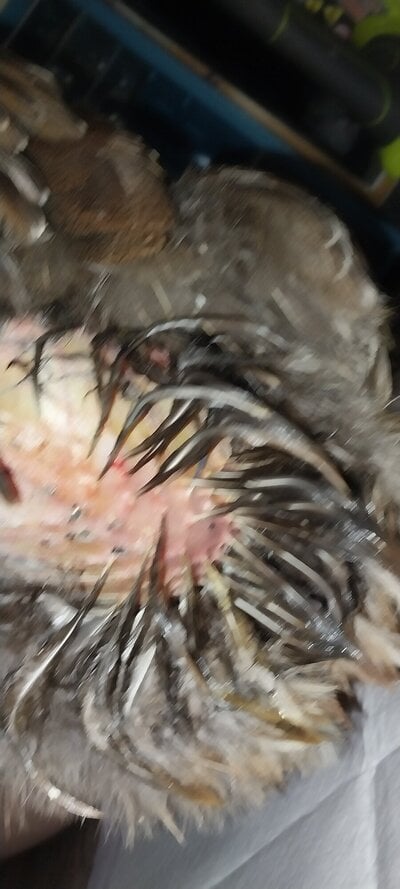 20250601_171119.jpg