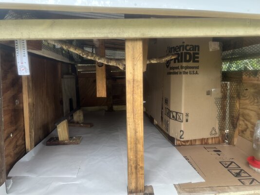 waterer inside coop after rearrangement.jpg