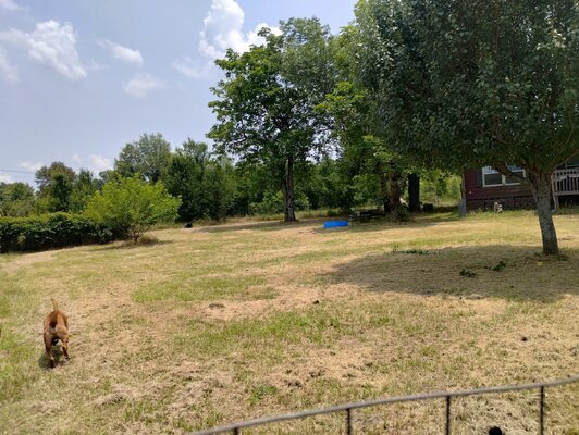 IMG_20250603_133033316_HDR.jpg