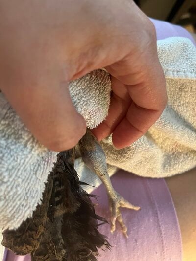IMG_0528.jpeg