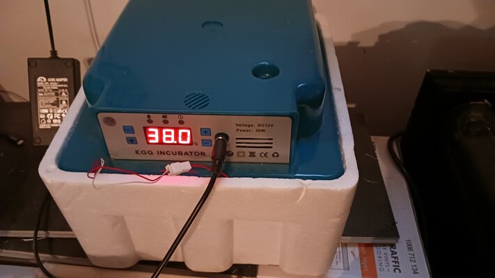 20250604_164530.jpg