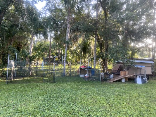 extended area and trailer coop.jpg