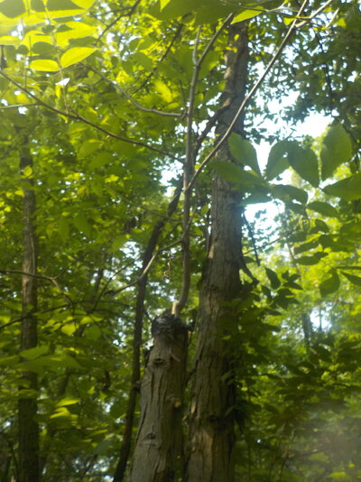 DSCN1472.JPG