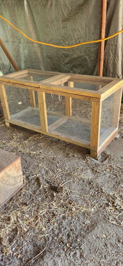 new brooder.jpg