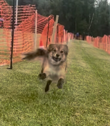 IMG_3624.jpeg