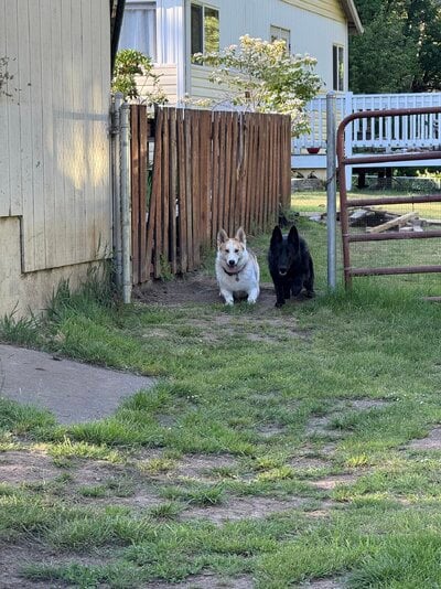 IMG_6851.jpeg