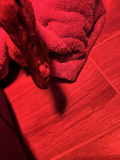 IMG_5502.jpeg