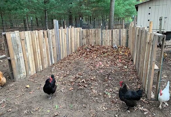 compost1.jpg