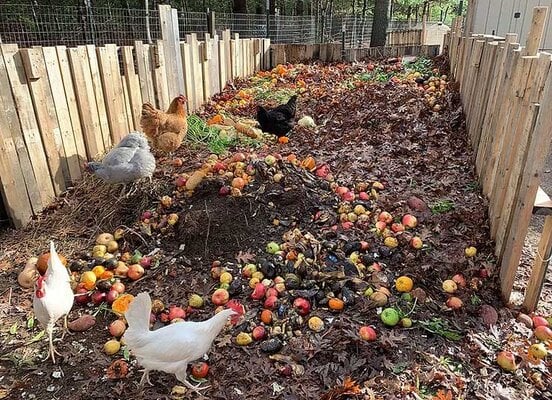 compost2.jpg