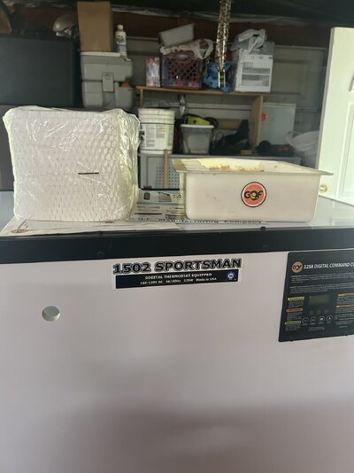 IMG_0522.jpeg